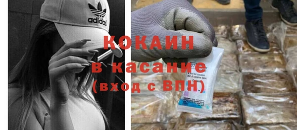 шишки Алексин