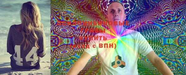 шишки Алексин