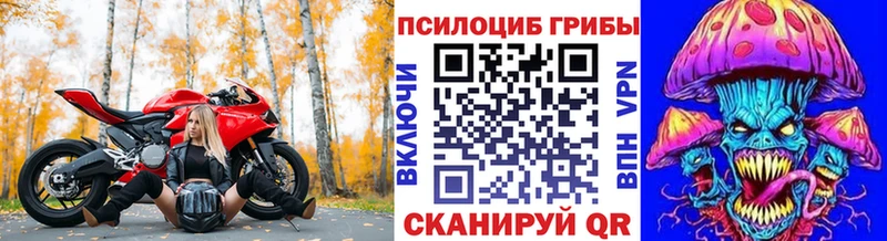 Галлюциногенные грибы Psilocybe  где купить наркоту  Сарапул 